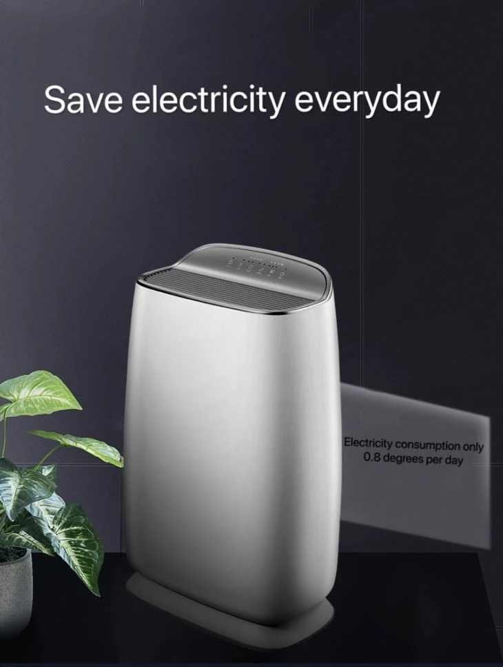 Economical Air Purifier With Lonizer