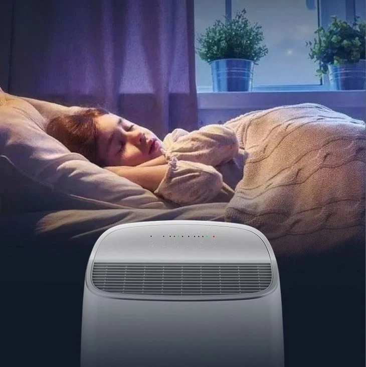 Economical Air Purifier With Lonizer