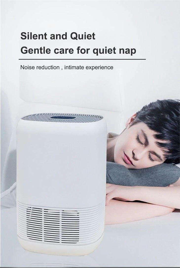 Air Purifier For Table Place HEPA CARBON
