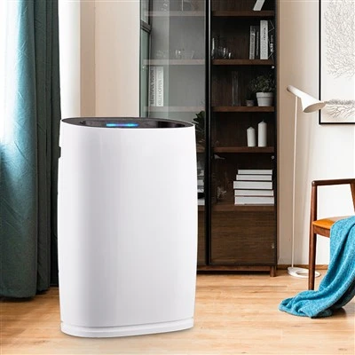 Bkj -306 Purificator de aer de acasă